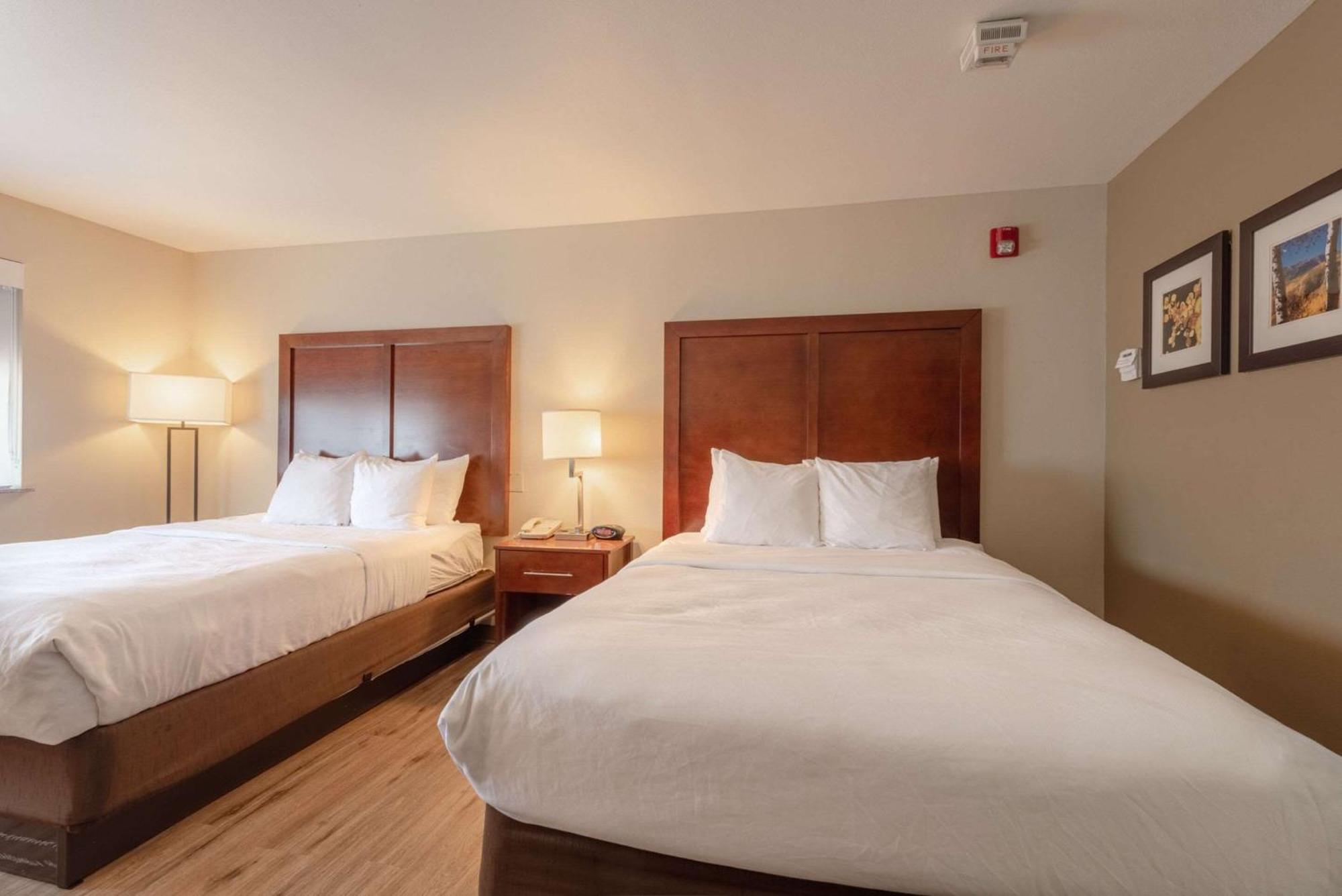 Comfort Inn & Suites Alamosa Ngoại thất bức ảnh